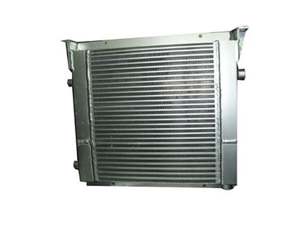 后部冷却器1